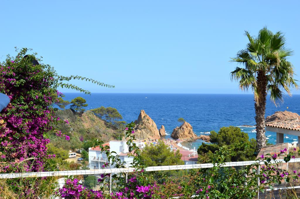 Blanca Paloma - Holiday House Villa Tossa de Mar Rum bild