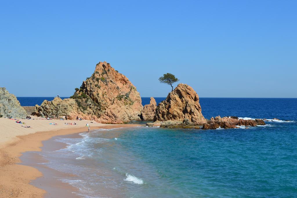 Blanca Paloma - Holiday House Villa Tossa de Mar Rum bild